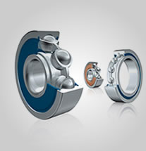 zen bearings